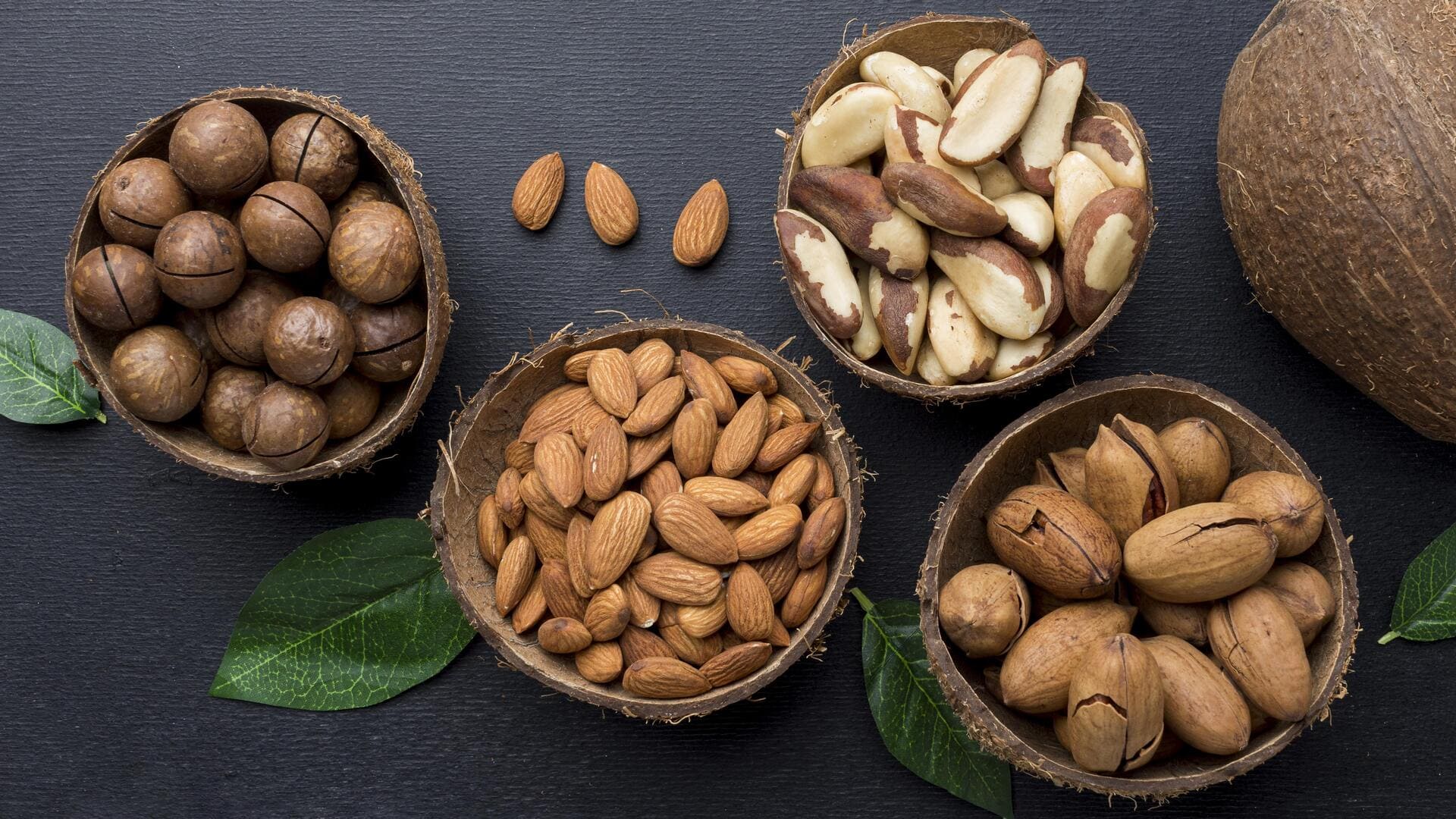 Aliments pour un cerveau performant pendant les révisions amandes et noix revisions bts dietetique